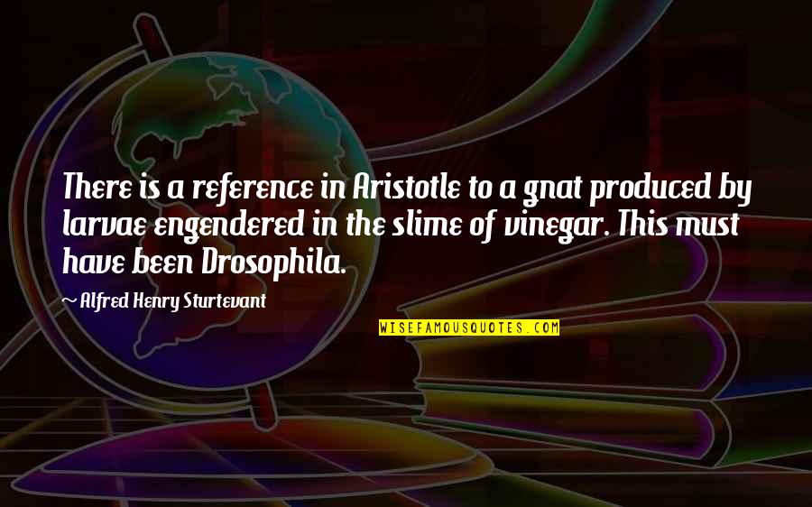 Drosophila Quotes By Alfred Henry Sturtevant: There is a reference in Aristotle to a