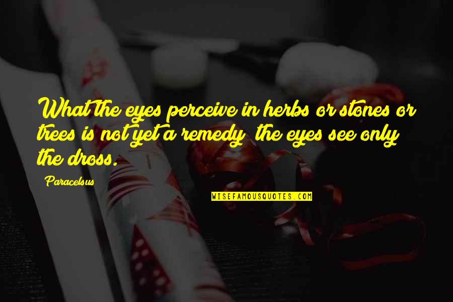 Dross Quotes By Paracelsus: What the eyes perceive in herbs or stones