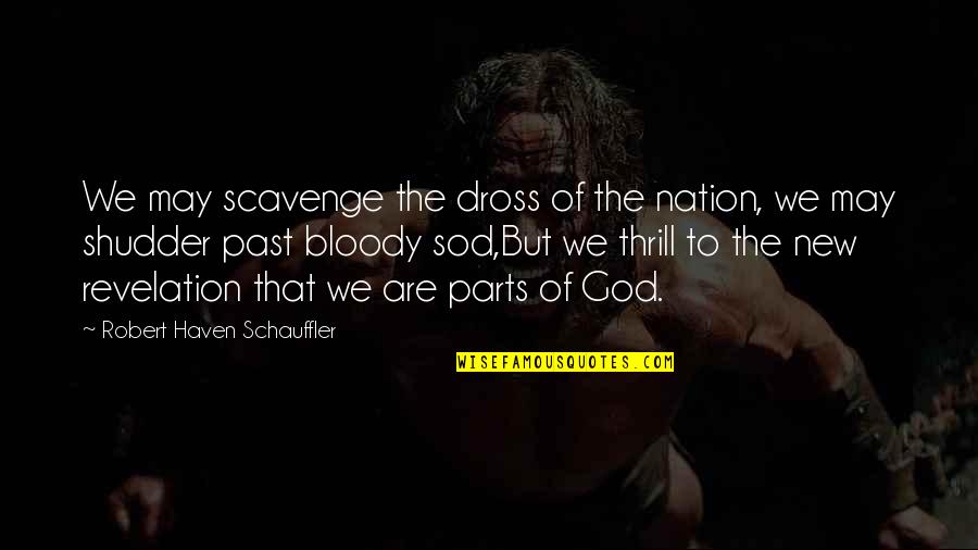 Dross Quotes By Robert Haven Schauffler: We may scavenge the dross of the nation,