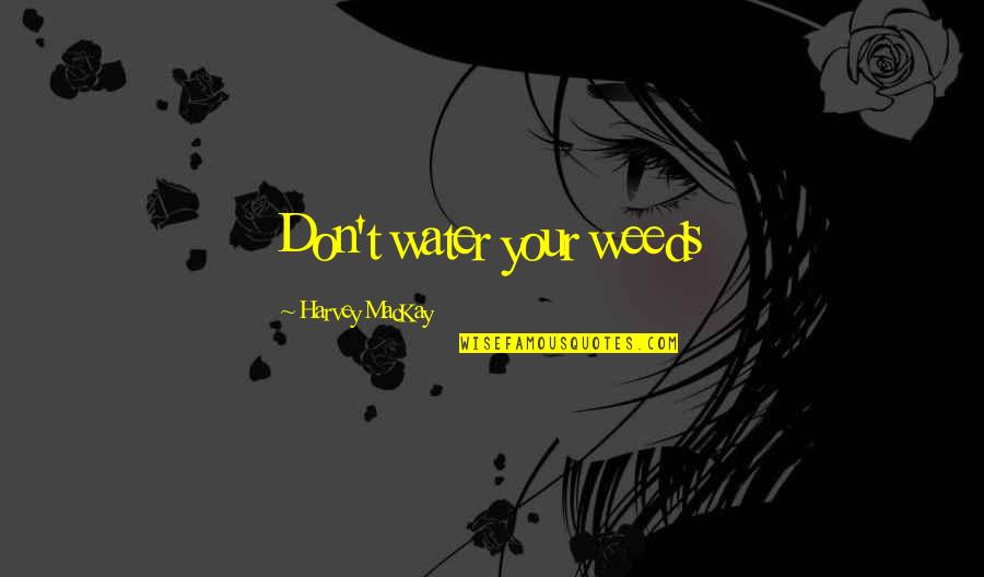 Drosselmeyer Quotes By Harvey MacKay: Don't water your weeds