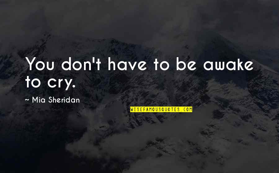 Droubay Delta Quotes By Mia Sheridan: You don't have to be awake to cry. Droubay Delta Quotes By Mia Sheridan: You don't have to be awake to cry.