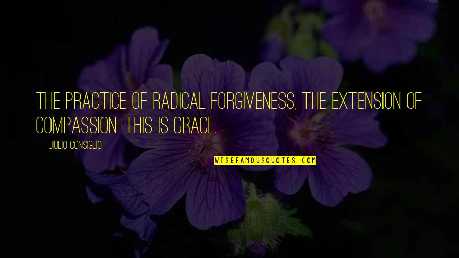 Droubay Lawn Quotes By Jiulio Consiglio: The practice of radical forgiveness, the extension of