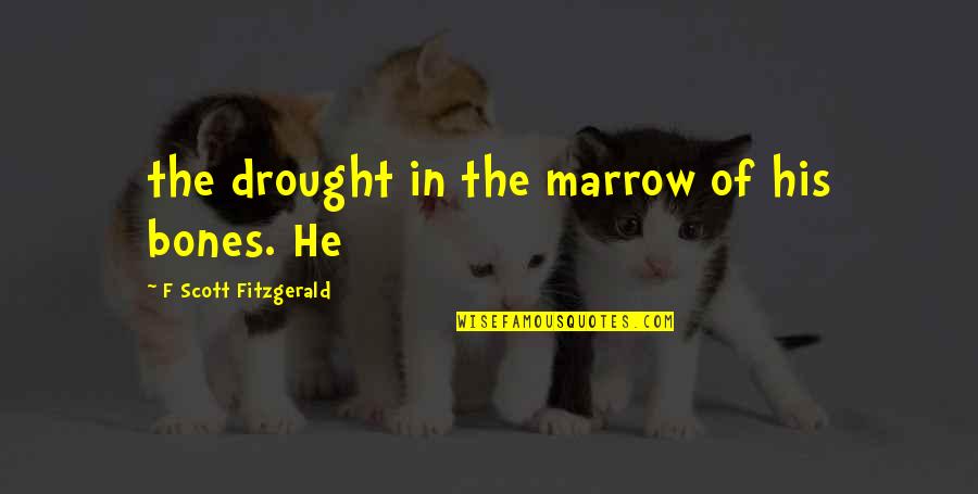 Drought Quotes By F Scott Fitzgerald: the drought in the marrow of his bones.