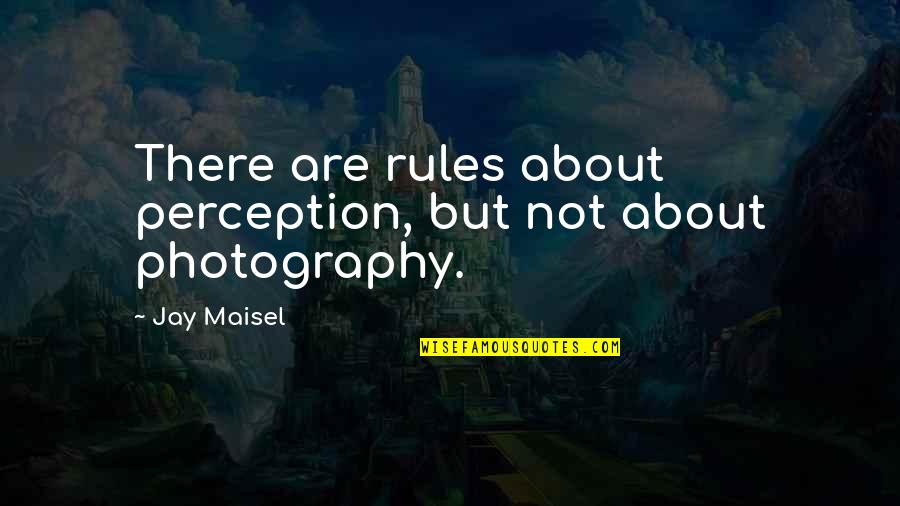 Drouot Louis Quotes By Jay Maisel: There are rules about perception, but not about