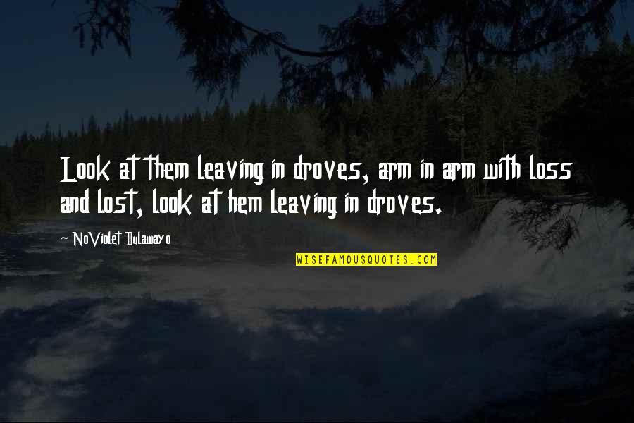 Droves Quotes By NoViolet Bulawayo: Look at them leaving in droves, arm in Droves Quotes By NoViolet Bulawayo: Look at them leaving in droves, arm in