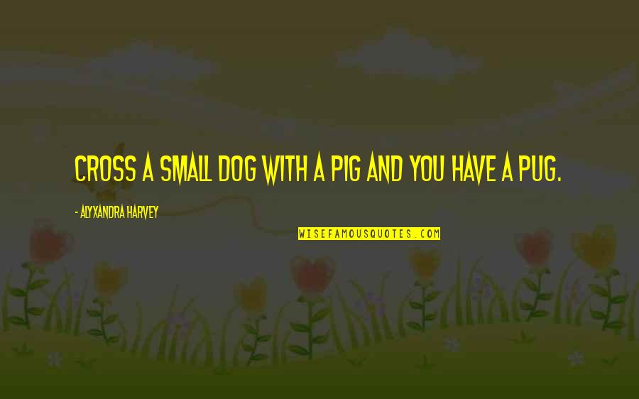 Drowned Minecraft Quotes By Alyxandra Harvey: Cross a small dog with a pig and Drowned Minecraft Quotes By Alyxandra Harvey: Cross a small dog with a pig and