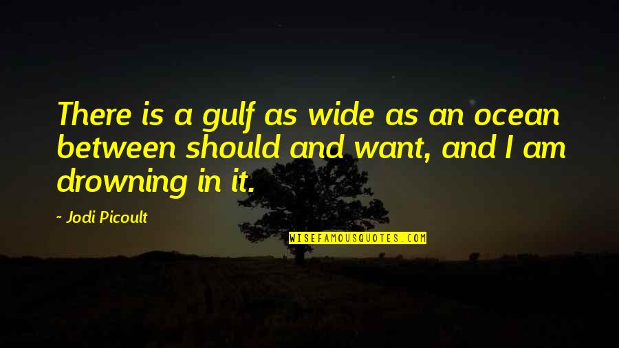Drowning Quotes By Jodi Picoult: There is a gulf as wide as an Drowning Quotes By Jodi Picoult: There is a gulf as wide as an
