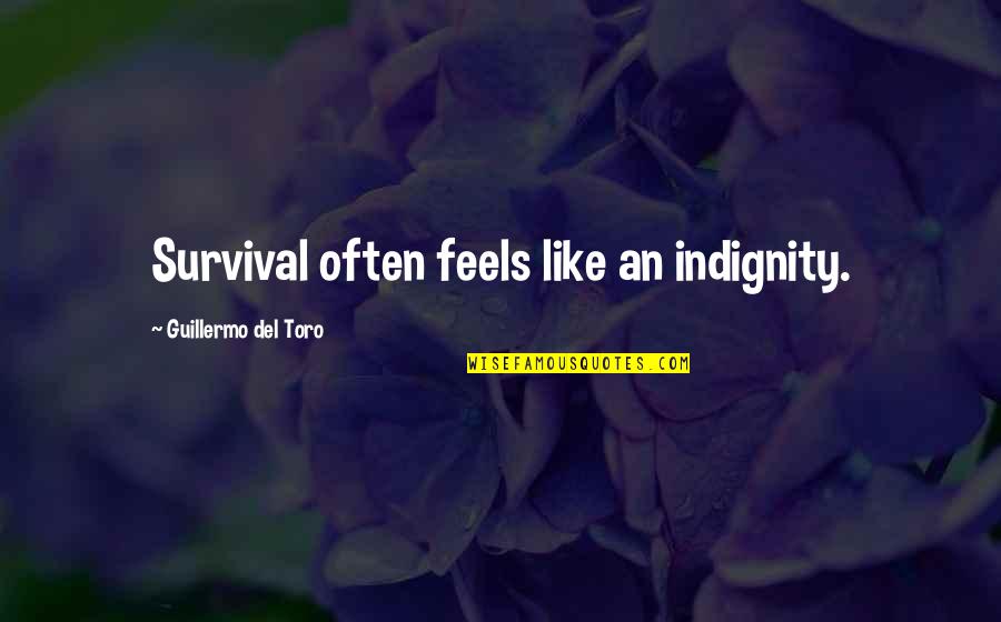 Drowning Your Demons Quotes By Guillermo Del Toro: Survival often feels like an indignity. Drowning Your Demons Quotes By Guillermo Del Toro: Survival often feels like an indignity.