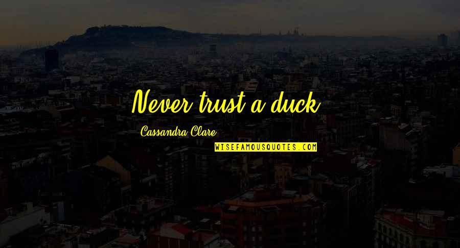 Drowses Quotes By Cassandra Clare: Never trust a duck. Drowses Quotes By Cassandra Clare: Never trust a duck.