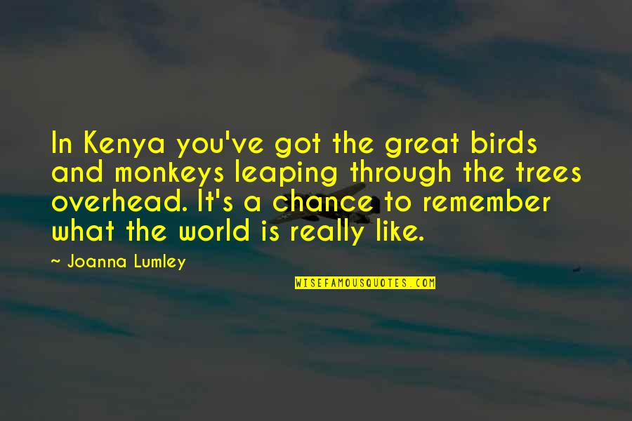 Drowthers Quotes By Joanna Lumley: In Kenya you've got the great birds and Drowthers Quotes By Joanna Lumley: In Kenya you've got the great birds and
