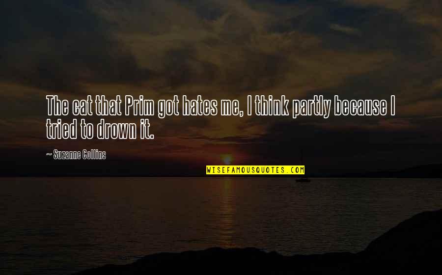Druce Quotes By Suzanne Collins: The cat that Prim got hates me, I