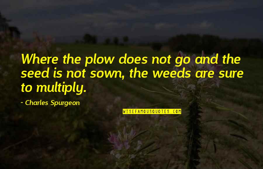 Drucilla 90 Quotes By Charles Spurgeon: Where the plow does not go and the