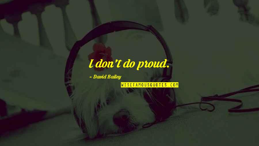 Druckenmiller Roofing Quotes By David Bailey: I don't do proud.