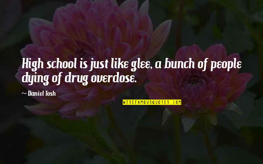 Drug Overdose Quotes By Daniel Tosh: High school is just like glee, a bunch