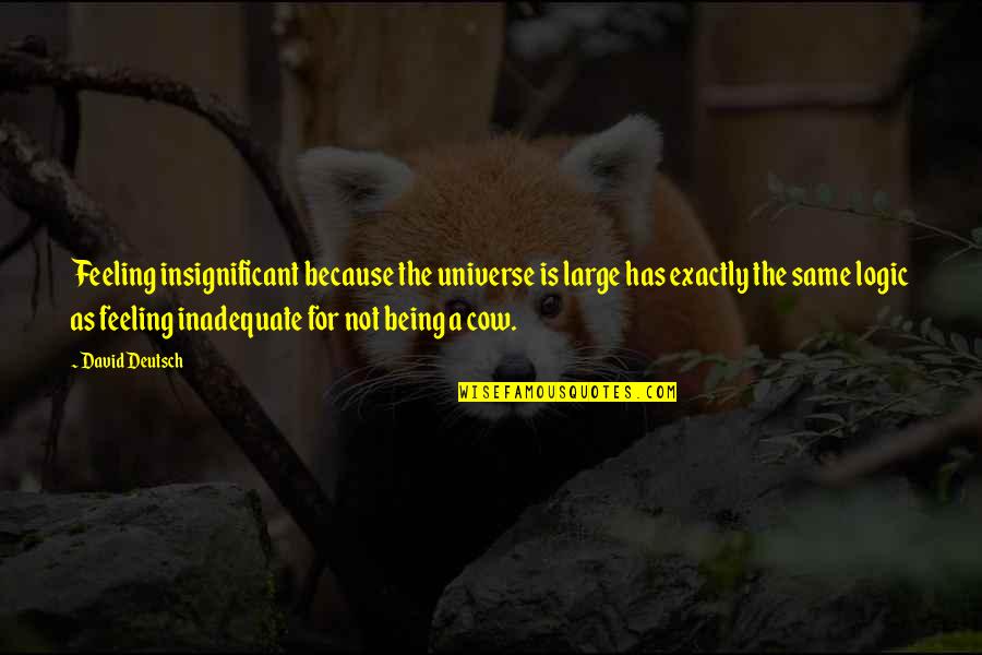 Drugaricinog Quotes By David Deutsch: Feeling insignificant because the universe is large has Drugaricinog Quotes By David Deutsch: Feeling insignificant because the universe is large has