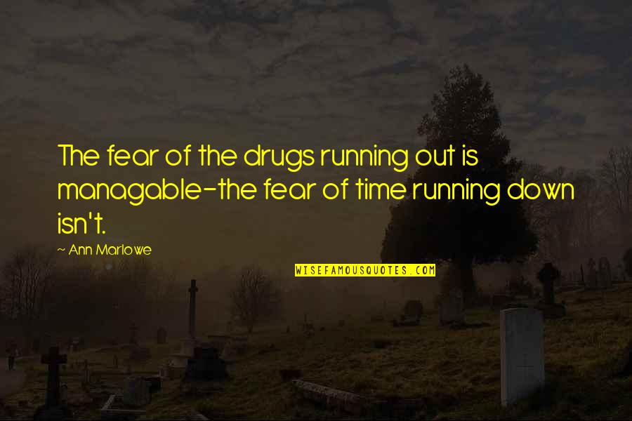 Drugs And Recovery Quotes By Ann Marlowe: The fear of the drugs running out is