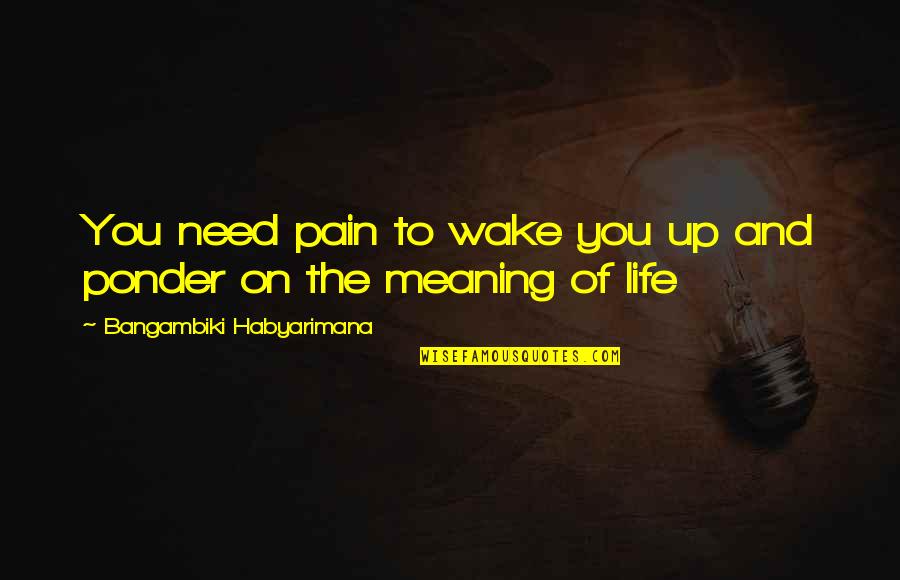 Drugs Ruin Lives Quotes By Bangambiki Habyarimana: You need pain to wake you up and