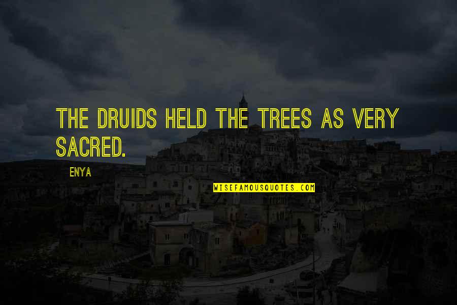Druids Quotes By Enya: The Druids held the trees as very sacred.