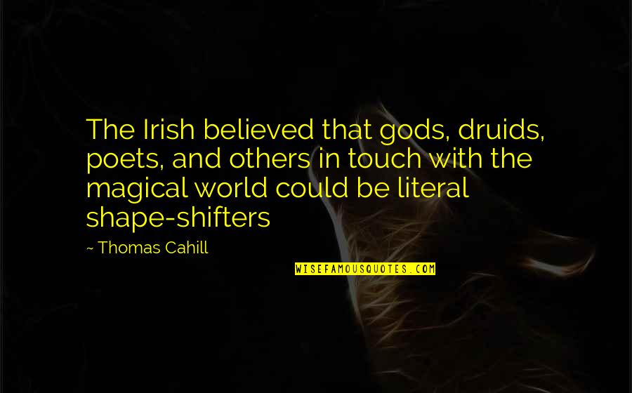 Druids Quotes By Thomas Cahill: The Irish believed that gods, druids, poets, and