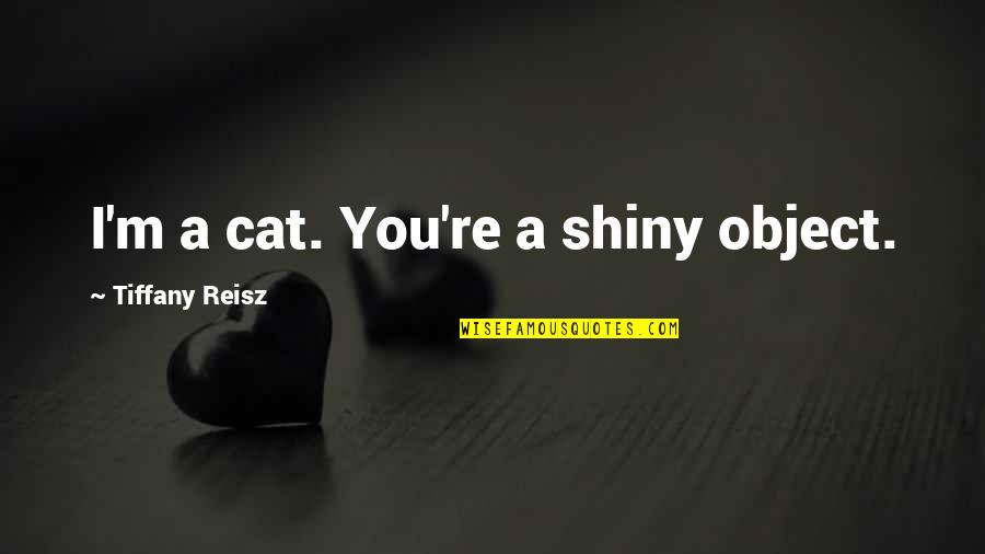 Drum Rolling Samples Quotes By Tiffany Reisz: I'm a cat. You're a shiny object.