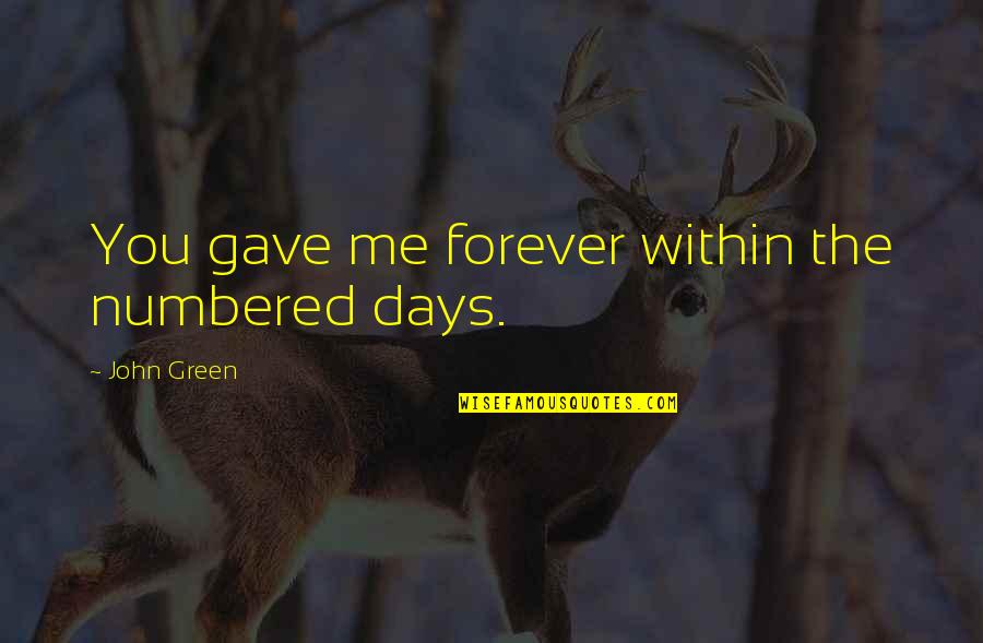 Drummle In Great Expectations Quotes By John Green: You gave me forever within the numbered days. Drummle In Great Expectations Quotes By John Green: You gave me forever within the numbered days.