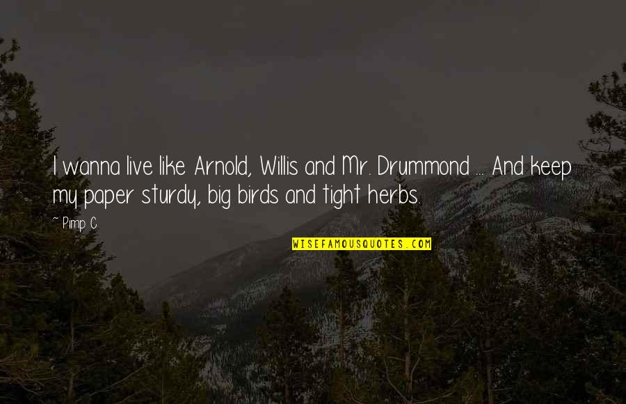 Drummond's Quotes By Pimp C: I wanna live like Arnold, Willis and Mr.