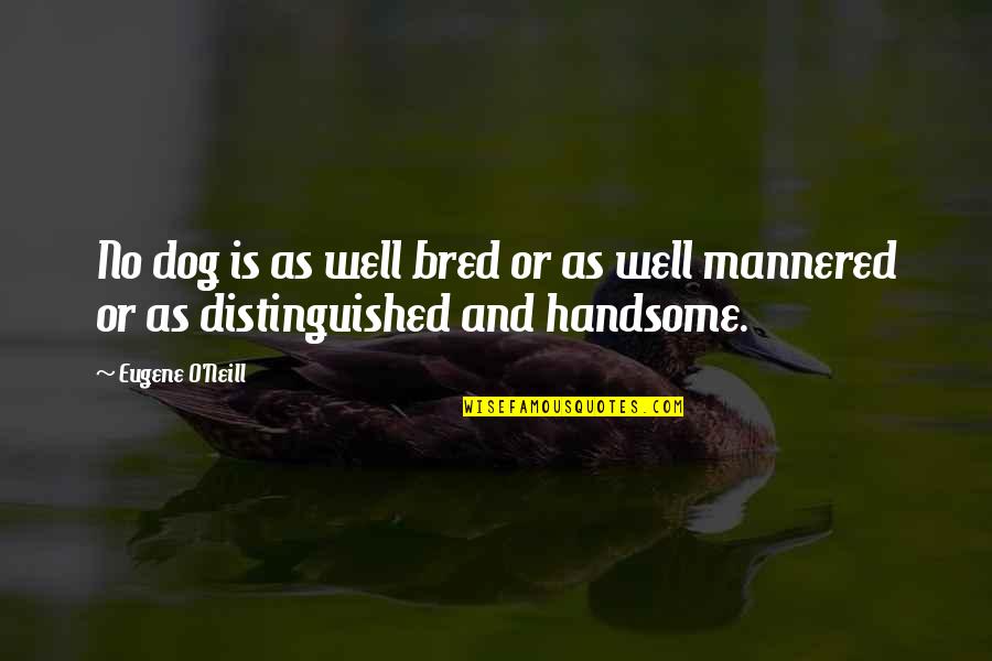 Drunk Puking Quotes By Eugene O'Neill: No dog is as well bred or as