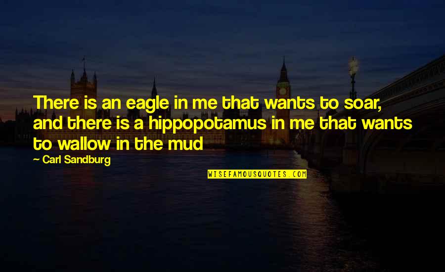 Druzes Quotes By Carl Sandburg: There is an eagle in me that wants