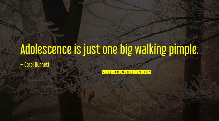 Dry Fruits Quotes By Carol Burnett: Adolescence is just one big walking pimple.