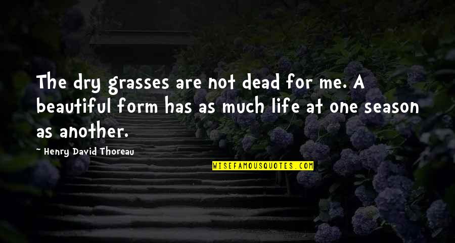 Dry Grass Quotes By Henry David Thoreau: The dry grasses are not dead for me. Dry Grass Quotes By Henry David Thoreau: The dry grasses are not dead for me.