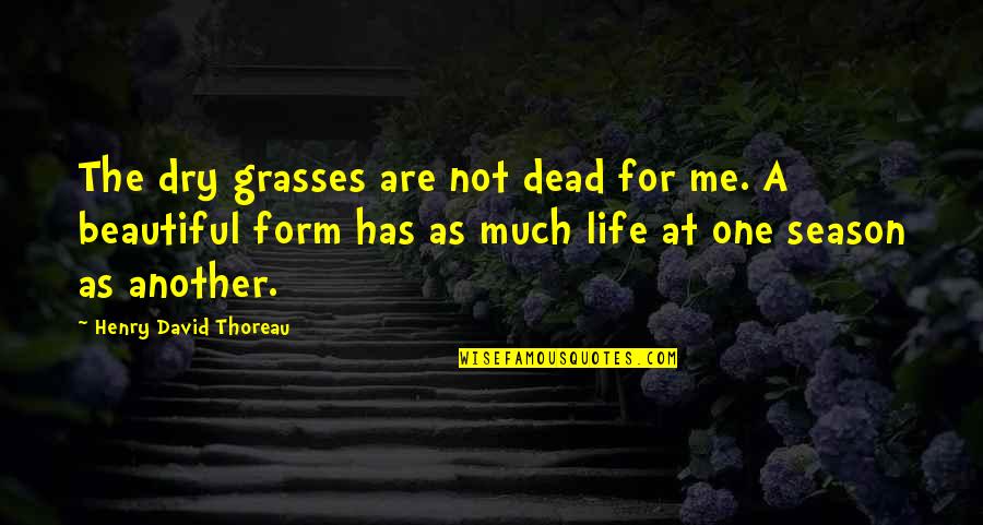 Dry Life Quotes By Henry David Thoreau: The dry grasses are not dead for me. Dry Life Quotes By Henry David Thoreau: The dry grasses are not dead for me.