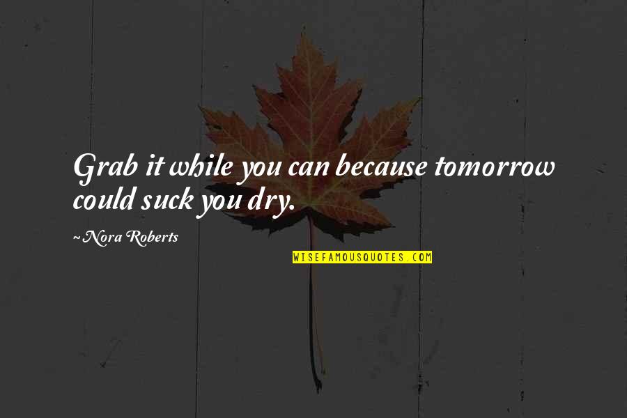 Dry Life Quotes By Nora Roberts: Grab it while you can because tomorrow could Dry Life Quotes By Nora Roberts: Grab it while you can because tomorrow could