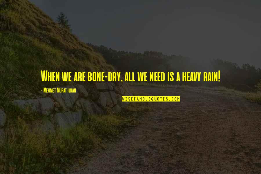 Dry Quotes By Mehmet Murat Ildan: When we are bone-dry, all we need is