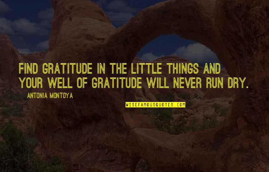 Dry Well Quotes By Antonia Montoya: Find gratitude in the little things and your
