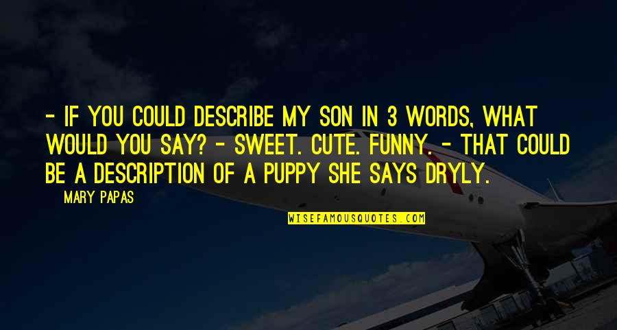 Dryly Quotes By Mary Papas: - If you could describe my son in