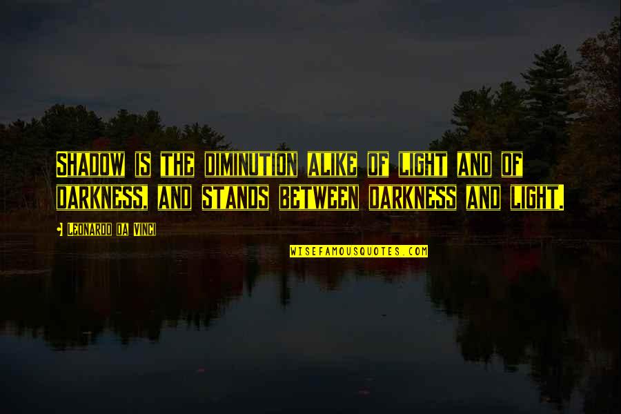 Drzewa Quotes By Leonardo Da Vinci: Shadow is the diminution alike of light and Drzewa Quotes By Leonardo Da Vinci: Shadow is the diminution alike of light and