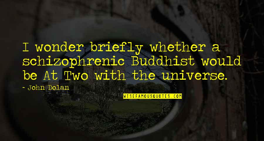 Dsouza Media Quotes By John Dolan: I wonder briefly whether a schizophrenic Buddhist would