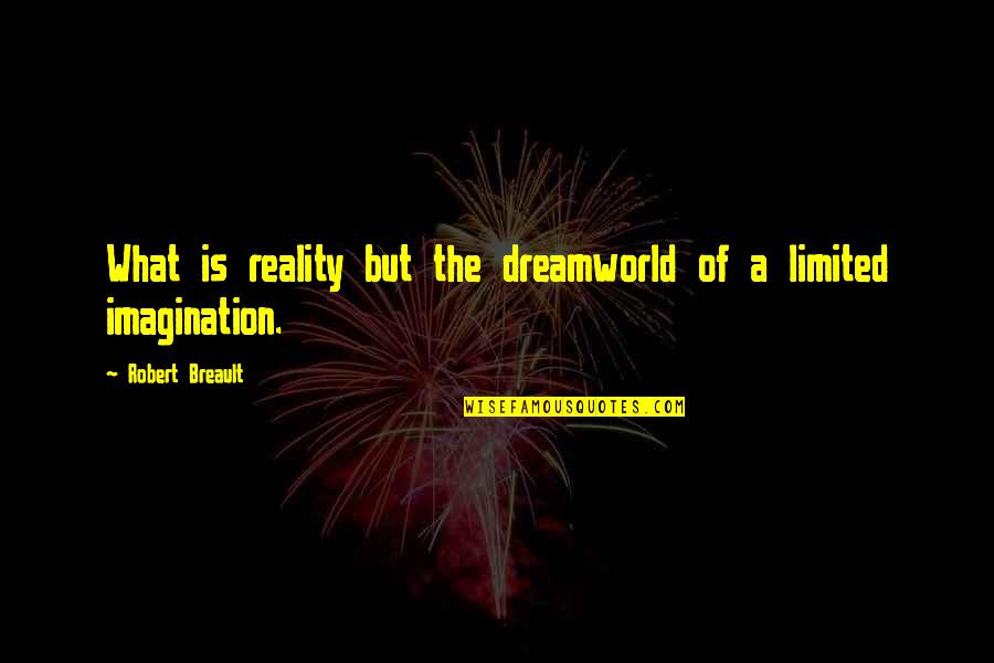 Dsp Appreciation Week Quotes By Robert Breault: What is reality but the dreamworld of a