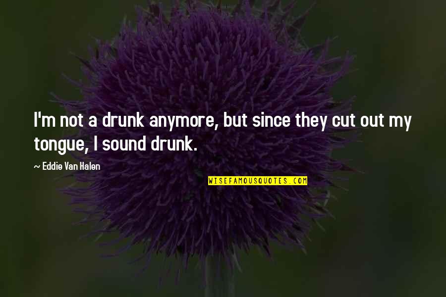 Du Sautoy Quotes By Eddie Van Halen: I'm not a drunk anymore, but since they