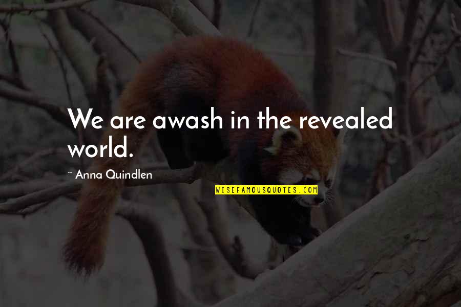 Dua Ka Asar Quotes By Anna Quindlen: We are awash in the revealed world.