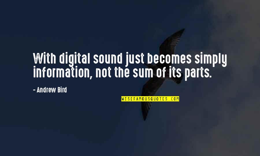 Dual Diagnosis Quotes By Andrew Bird: With digital sound just becomes simply information, not