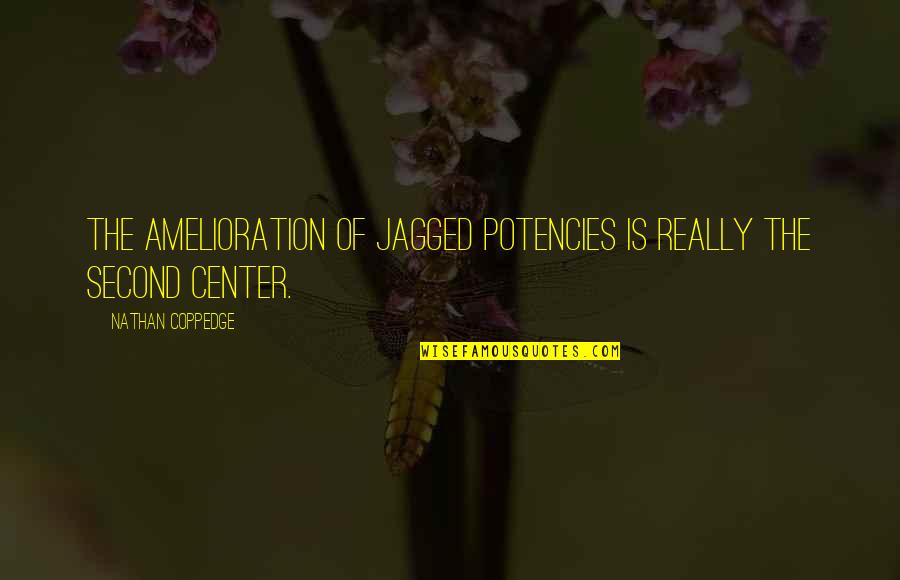 Dualar Eder Quotes By Nathan Coppedge: The amelioration of jagged potencies is really the Dualar Eder Quotes By Nathan Coppedge: The amelioration of jagged potencies is really the