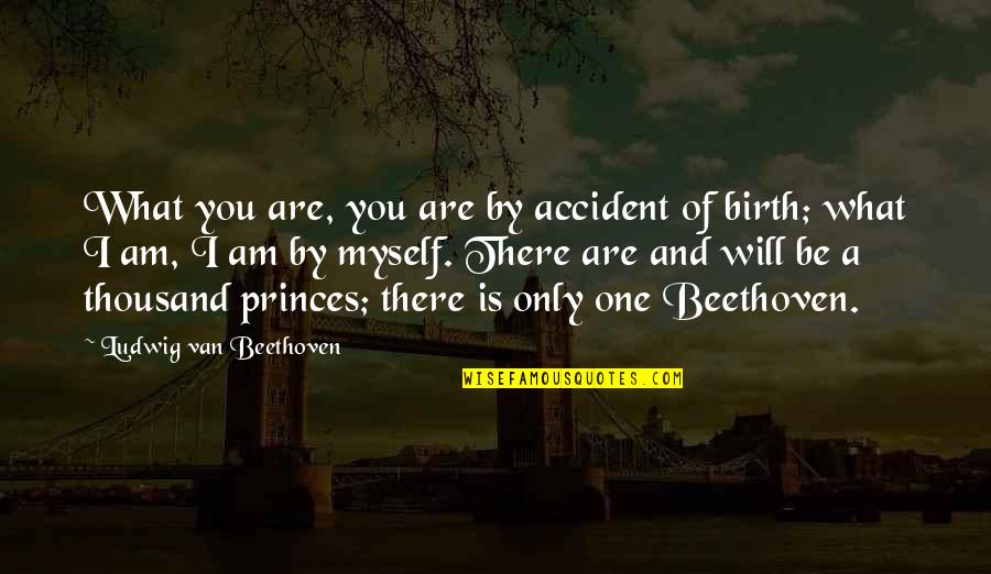 Dubbing Quotes By Ludwig Van Beethoven: What you are, you are by accident of