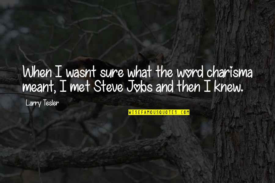 Dubdub Minecraft Quotes By Larry Tesler: When I wasnt sure what the word charisma
