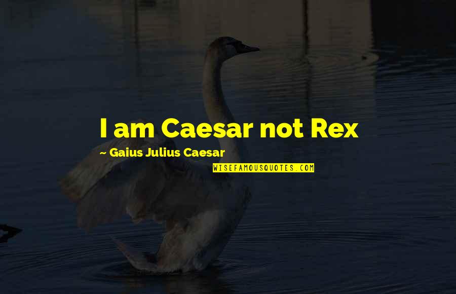 Dubinin Astakhov Quotes By Gaius Julius Caesar: I am Caesar not Rex Dubinin Astakhov Quotes By Gaius Julius Caesar: I am Caesar not Rex
