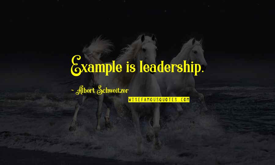 Dubio Bikinis Quotes By Albert Schweitzer: Example is leadership. Dubio Bikinis Quotes By Albert Schweitzer: Example is leadership.