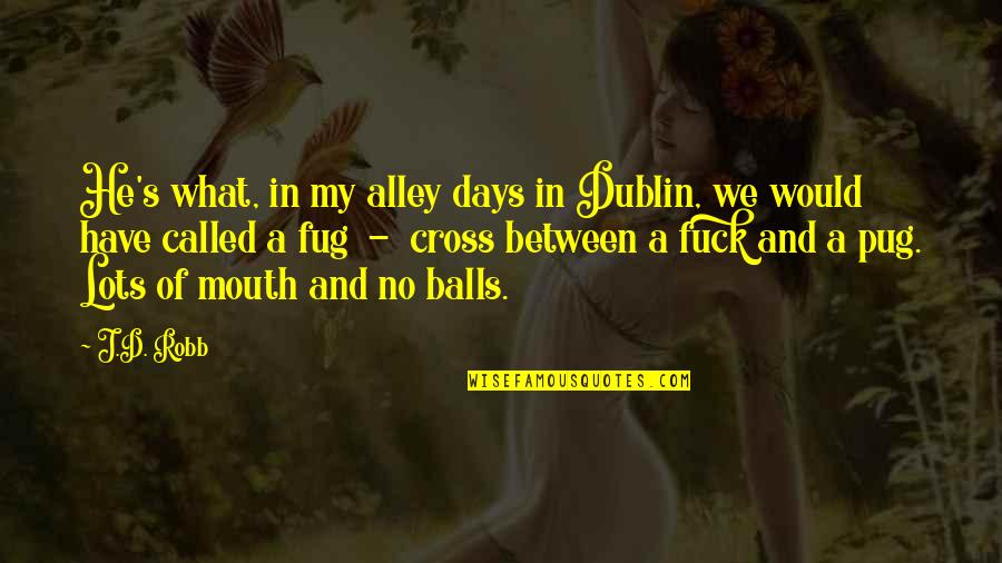 Dublin Quotes By J.D. Robb: He's what, in my alley days in Dublin,