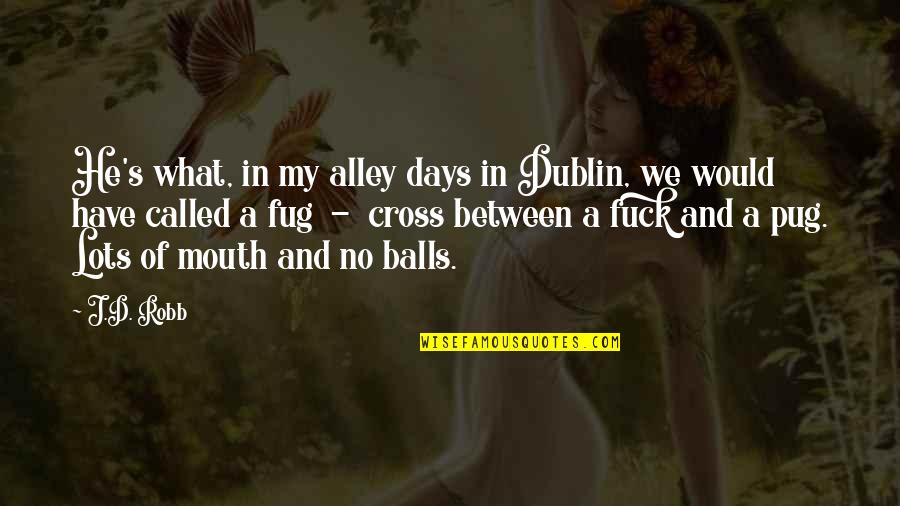 Dublin's Quotes By J.D. Robb: He's what, in my alley days in Dublin,