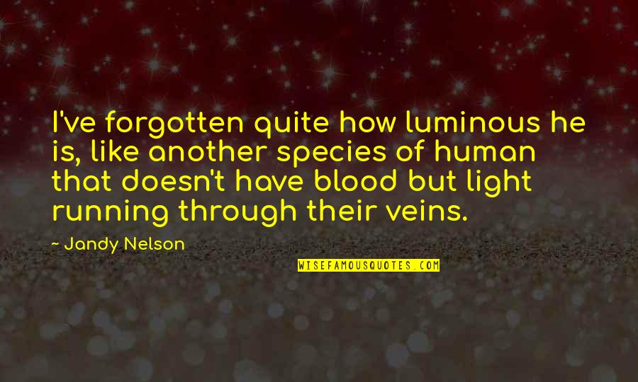 Dubnus Quotes By Jandy Nelson: I've forgotten quite how luminous he is, like