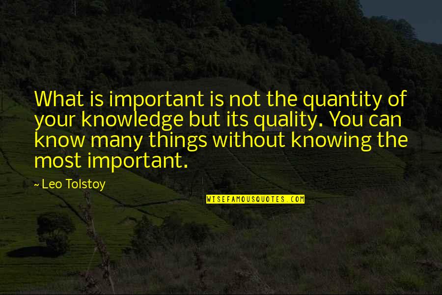 Dubov Daniil Quotes By Leo Tolstoy: What is important is not the quantity of